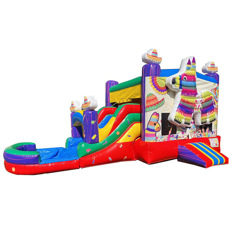 Draagbaar PVC regenboog puppy opblaasbaar springhuis met glijbaan combinatie zwembad jumpers kasteel