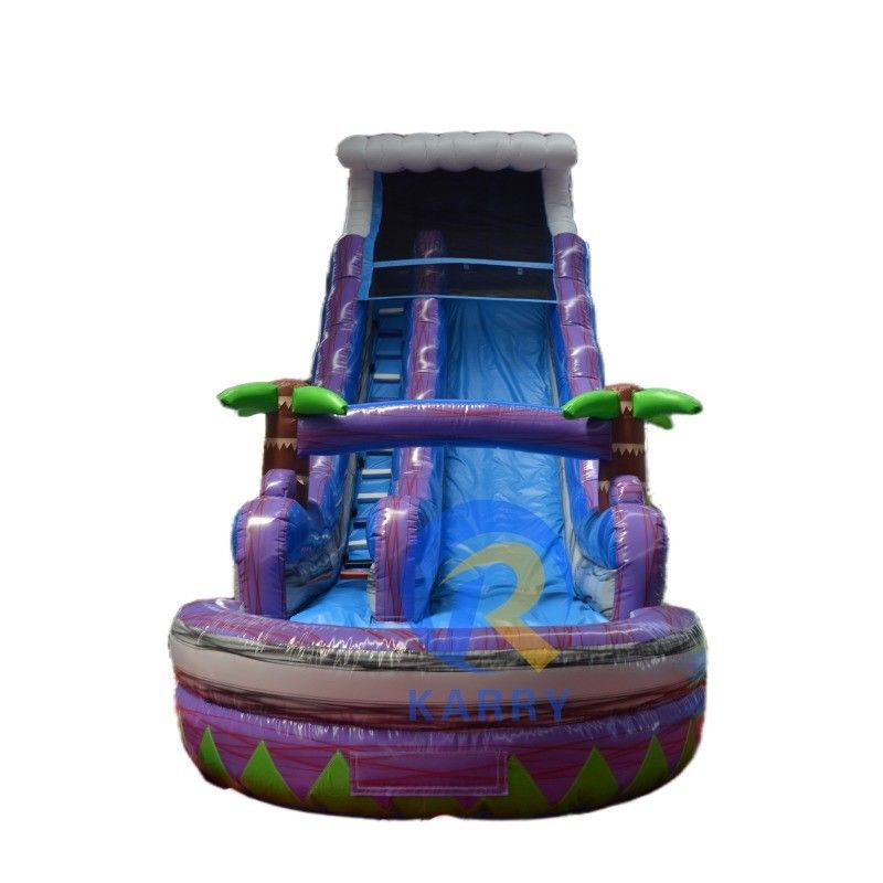 Persoonlijke kleurrijke PVC opblaasbare waterslide met zwembad voor zomerplezier