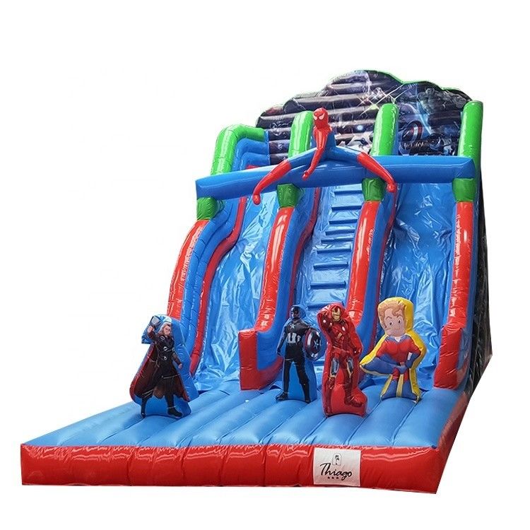 Persoonlijke grootte opblaasbare waterslider voor buitenvermaak en pretpark