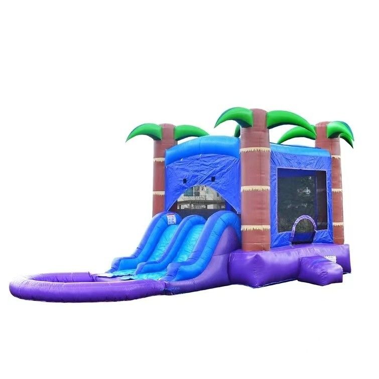 PVC opblaasbare waterslider met basketbalhoop voor kinderen en volwassenen