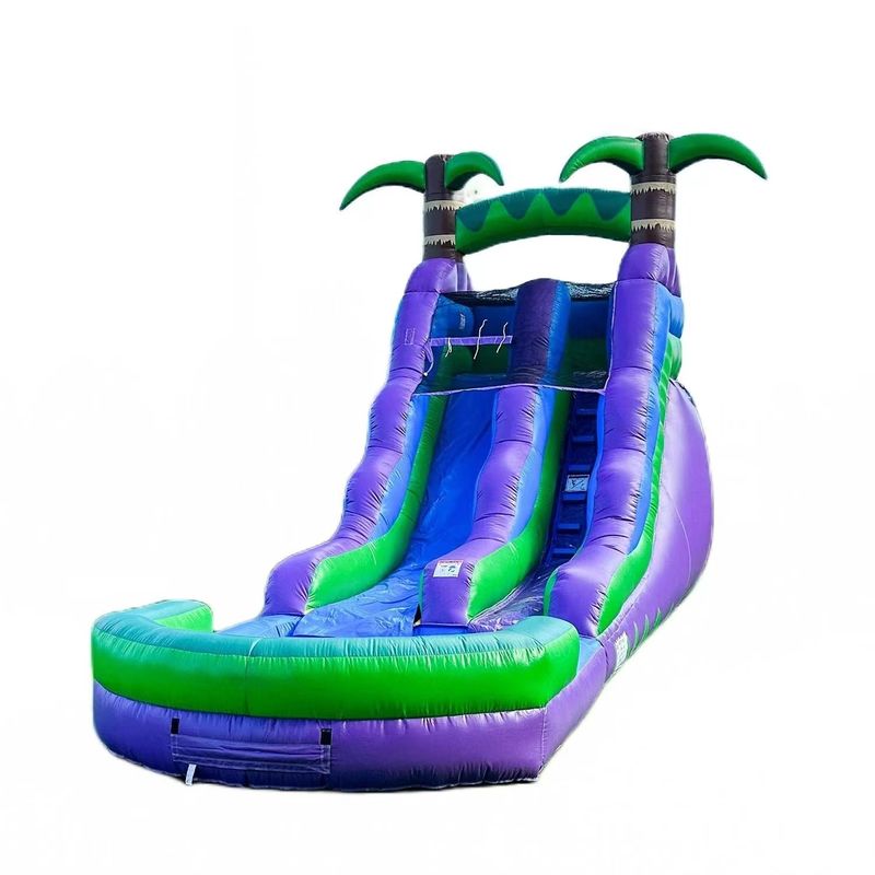 25ft opblaasbare waterslide met waterbad en palmboompatroon Groot springhuis