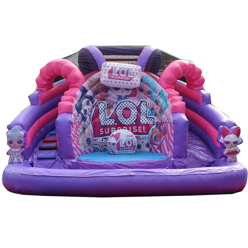 Commerciële opblaasbare waterslide voor kind volwassen aangepaste kleur en 5-10 passagiers