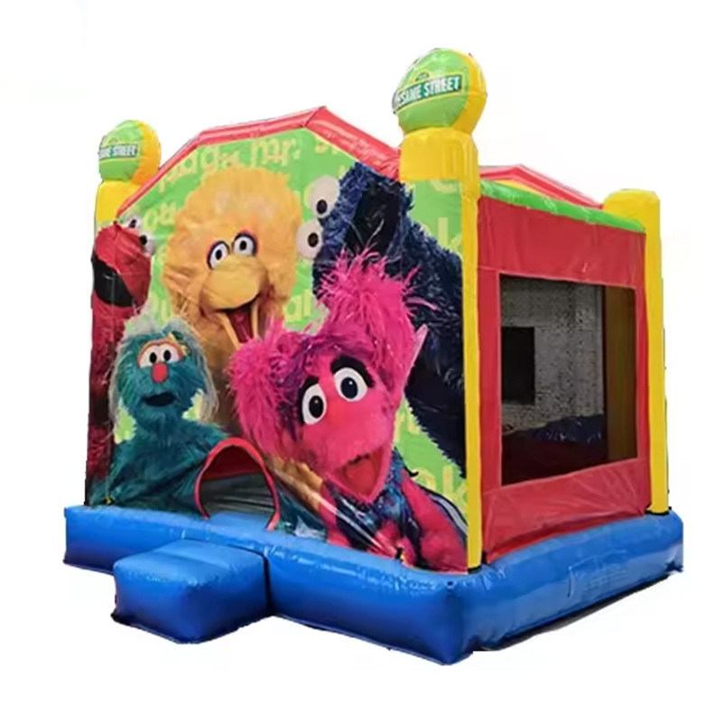 Buiten speeltuin opblaasbare uitsmijter 13x13 Sesamstraat Bouncy Castle voor kinderen