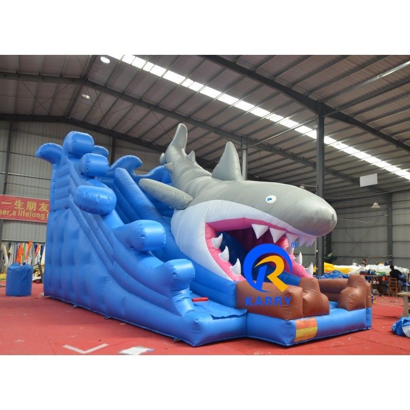 Gepersonaliseerde kleur nat/droog opblaasbaar gebouw met glij- en blaasapparaat Unisex outdoor fun