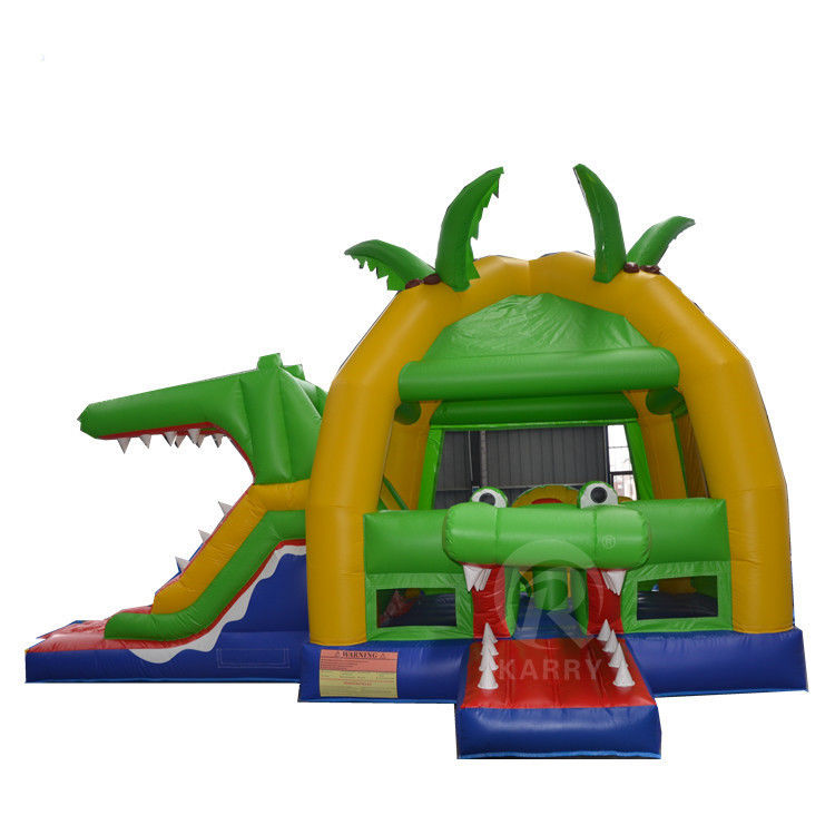 14 Jaar op Populaire Buitenopblaasbare Bouncer Slide met CE Blower en Repair Kits